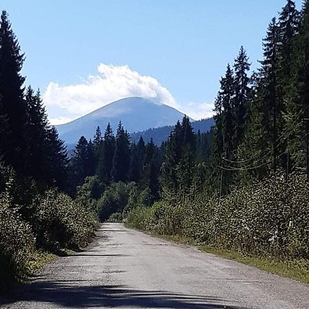 Говерлянка Villa Vorokhta Bagian luar foto