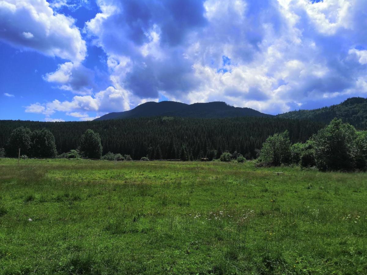 Говерлянка Villa Vorokhta Bagian luar foto