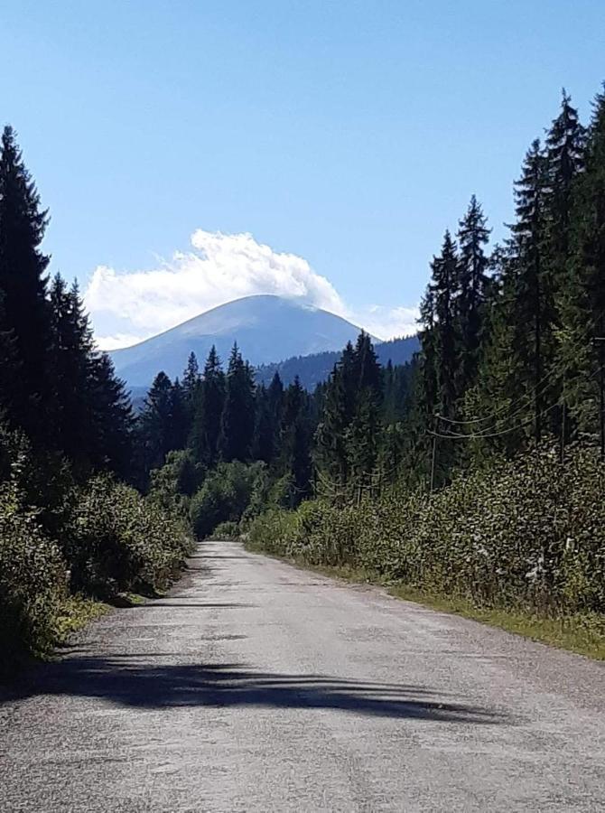 Говерлянка Villa Vorokhta Bagian luar foto