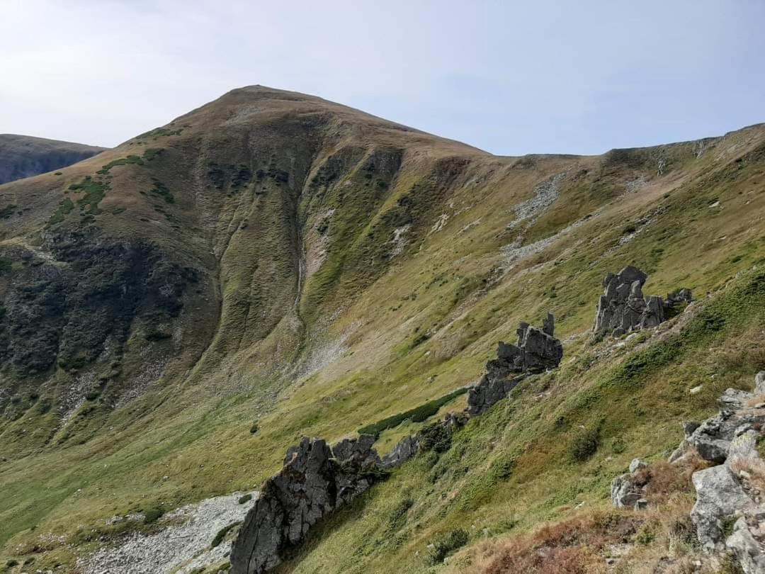 Говерлянка Villa Vorokhta Bagian luar foto