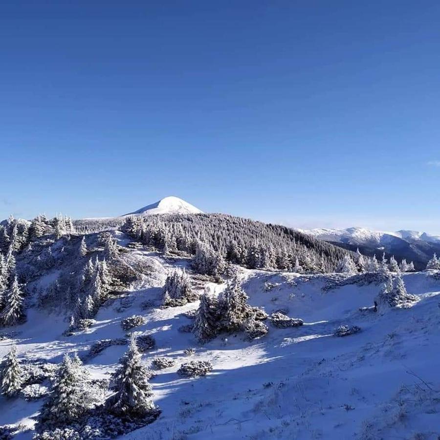 Говерлянка Villa Vorokhta Bagian luar foto