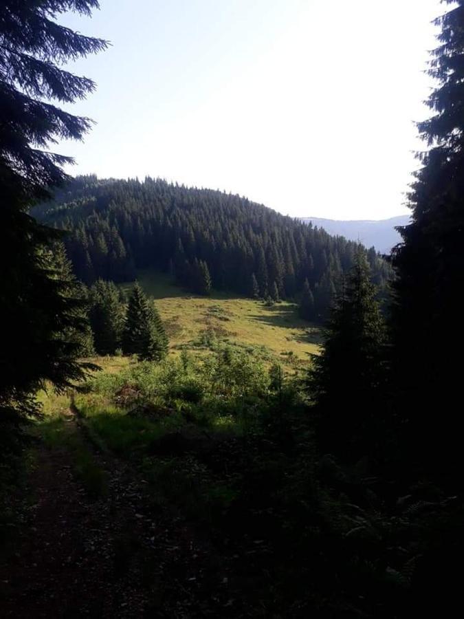 Говерлянка Villa Vorokhta Bagian luar foto