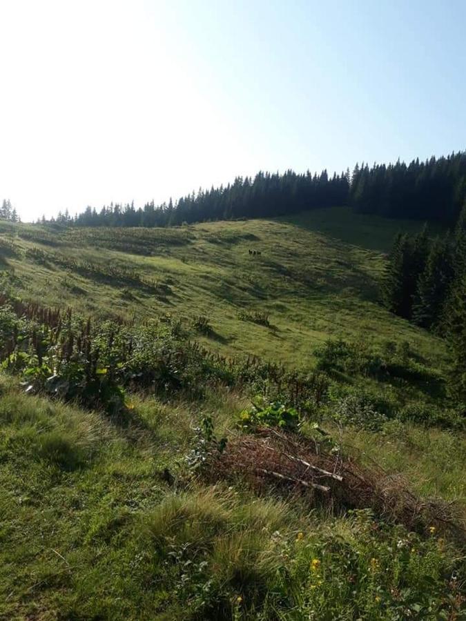 Говерлянка Villa Vorokhta Bagian luar foto