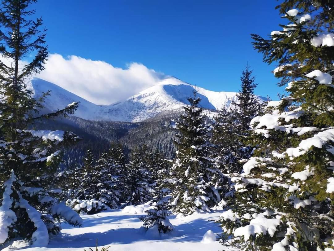 Говерлянка Villa Vorokhta Bagian luar foto