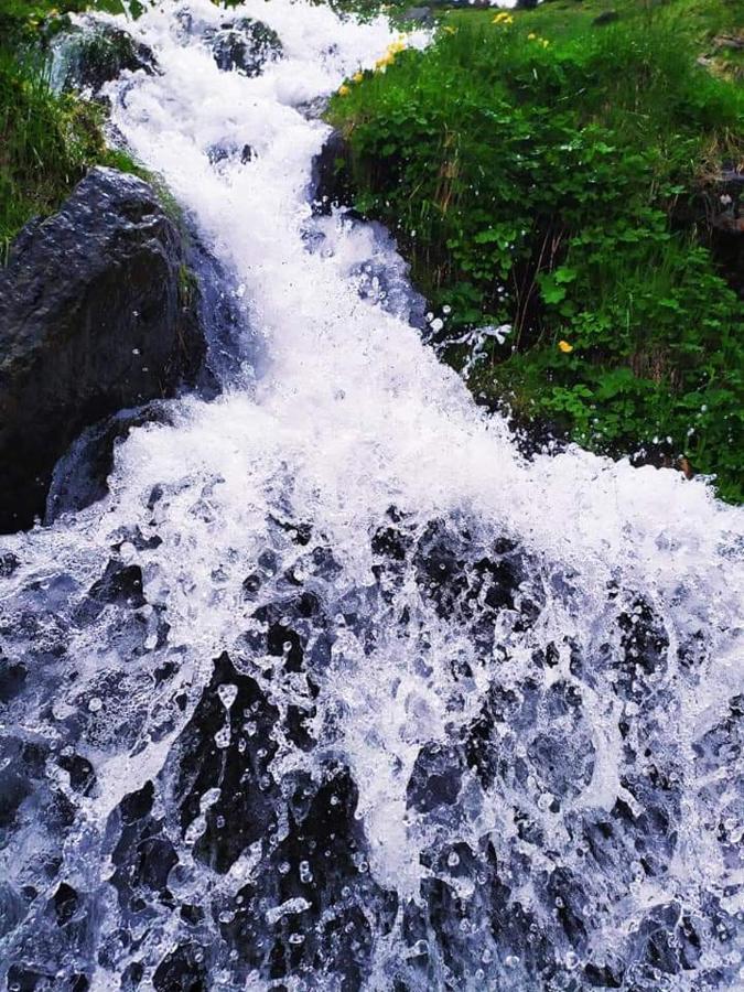 Говерлянка Villa Vorokhta Bagian luar foto