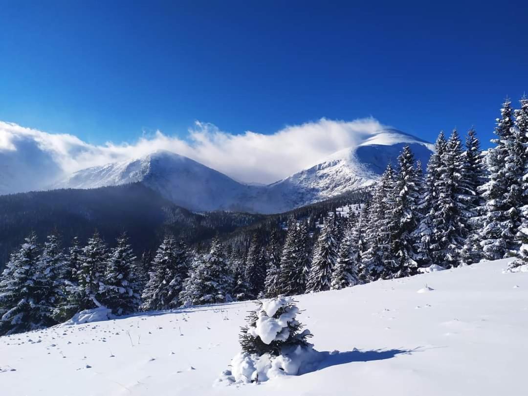 Говерлянка Villa Vorokhta Bagian luar foto
