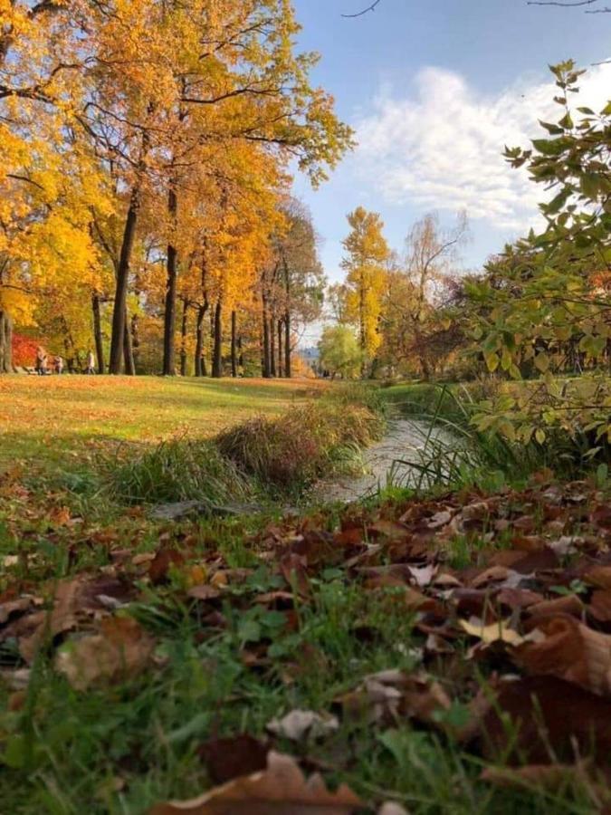 Говерлянка Villa Vorokhta Bagian luar foto