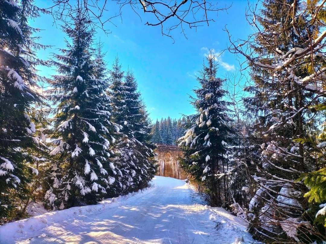 Говерлянка Villa Vorokhta Bagian luar foto