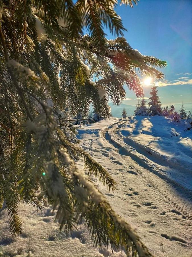 Говерлянка Villa Vorokhta Bagian luar foto