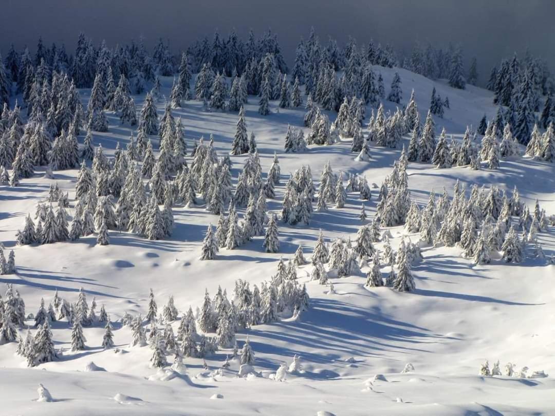 Говерлянка Villa Vorokhta Bagian luar foto